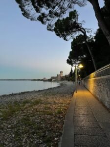 img 20250629 wa0055 img 20250629 wa0055